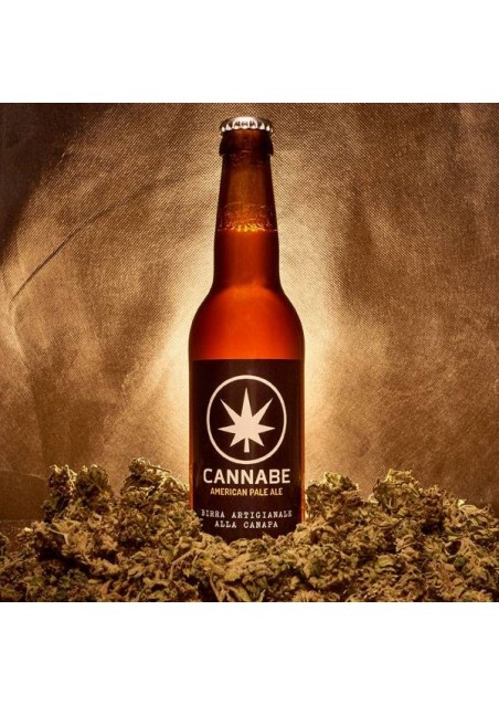 American Pale Ale 6,2% - Birra artigianale 330ml - CannaBe Food