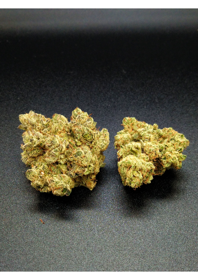 Amnesia Hy-Pro - CBD - Indoor Premium, Cannabis Light