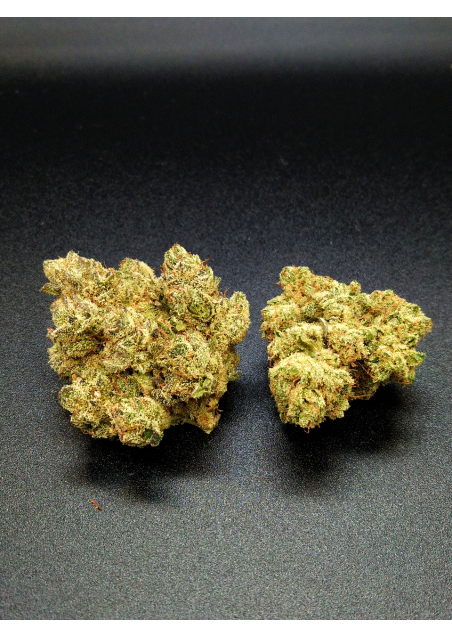 Amnesia Hy-Pro - CBD - Indoor Premium, Cannabis Light