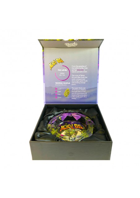 Posacenere in Vetro Alien OG Spesso, Elegante con Confezione Regalo - Best Buds