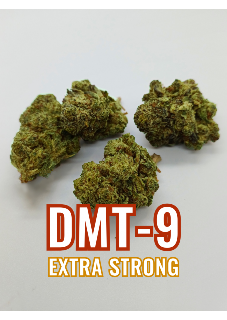 DMT-9 Limoncello - Extra Forte, DMT9 Cannabis Indoor, Cime Grandi, Compatte e Resinose
