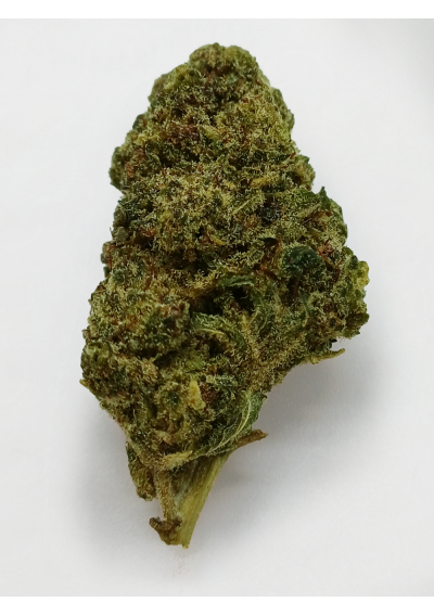 DMT-9 Limoncello - Extra Forte, DMT9 Cannabis Indoor, Cime Grandi, Compatte e Resinose