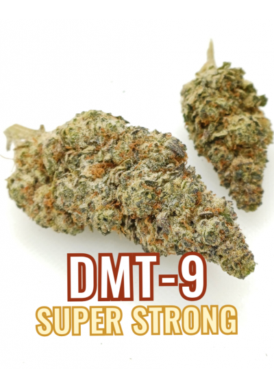 DMT-9 Zkittles Gelato - Super Forte, DMT9 Cannabis Indoor, Cime Compatte e Resinose