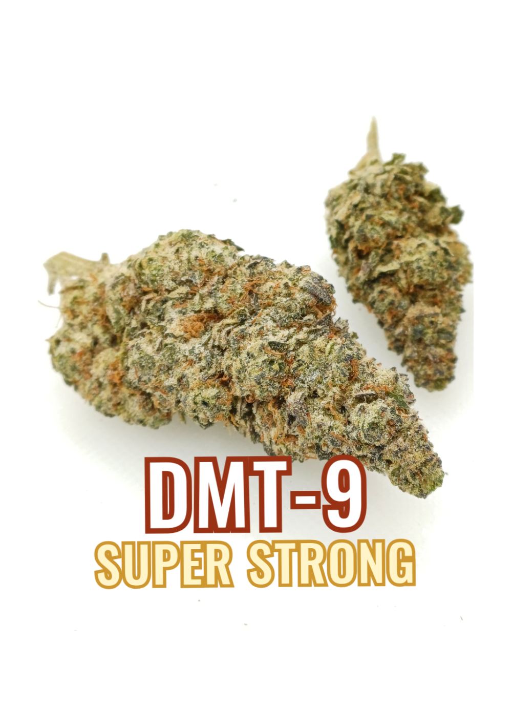 DMT-9 Zkittles Gelato - Super Strong, DMT9 Indoor Cannabis Flowers