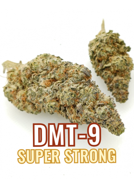 DMT-9 Zkittles Gelato - Super Strong, DMT9 Indoor Cannabis Flowers