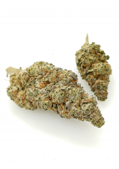 DMT-9 Zkittles Gelato - Super Strong, DMT9 Indoor Cannabis Flowers