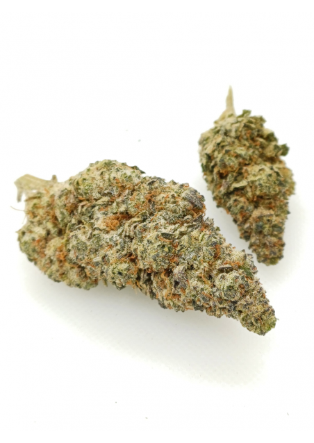 DMT-9 Zkittles Gelato - Super Strong, DMT9 Indoor Cannabis Flowers