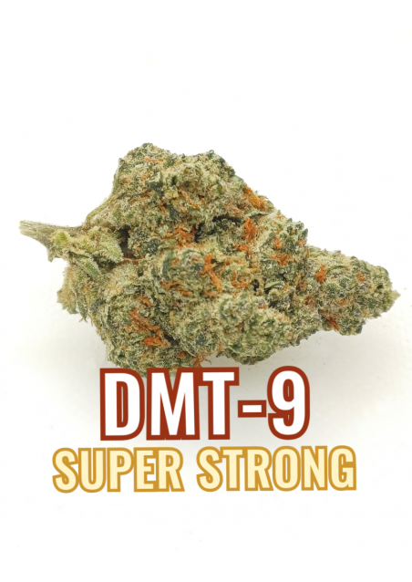 DMT-9 Amnesia HP - Extra Forte, DMT9 Indoor Cannabis Flowers