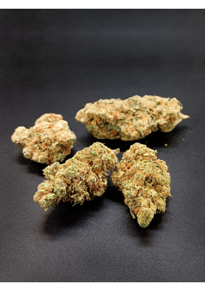 DHC-9 Tropical Dream - DHC9 Ultra Strong, Indoor Cannabis Flowers