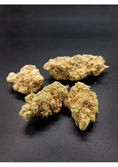 DHC-9 Tropical Dream - DHC9 Ultra Strong, Indoor Cannabis Flowers