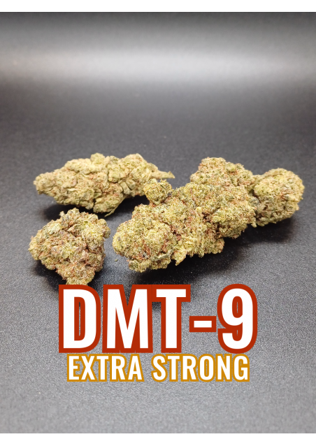 DMT-9 Super Skunk - Extra Forte, Greenhouse DMT9 Indoor Cannabis Flowers