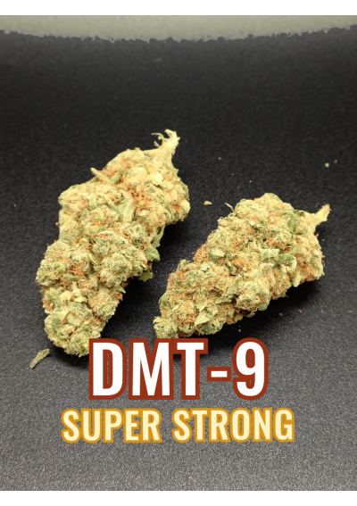 DMT-9 Gorilla Mandarine - Extra Forte, DMT9 Indoor Cannabis Flowers