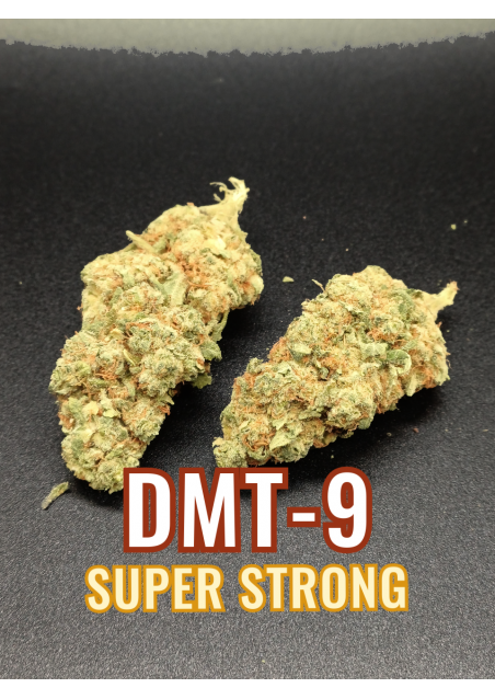 DMT-9 Gorilla Mandarine - Extra Forte, DMT9 Indoor Cannabis Flowers
