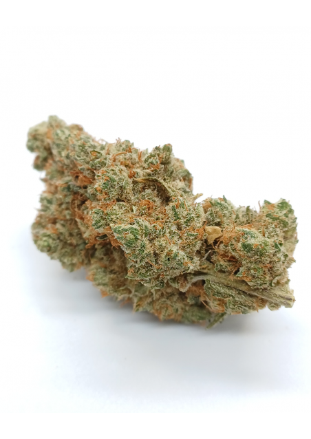 Amnesia Cali CBD - Indoor Premium, Cannabis Light