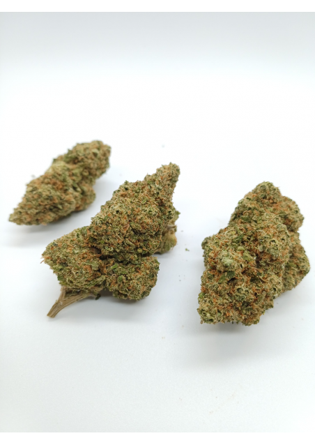 Big Nuts CBD - Indoor Premium, Cannabis Light