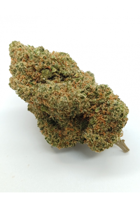 Big Nuts CBD - Indoor Premium, Cannabis Light