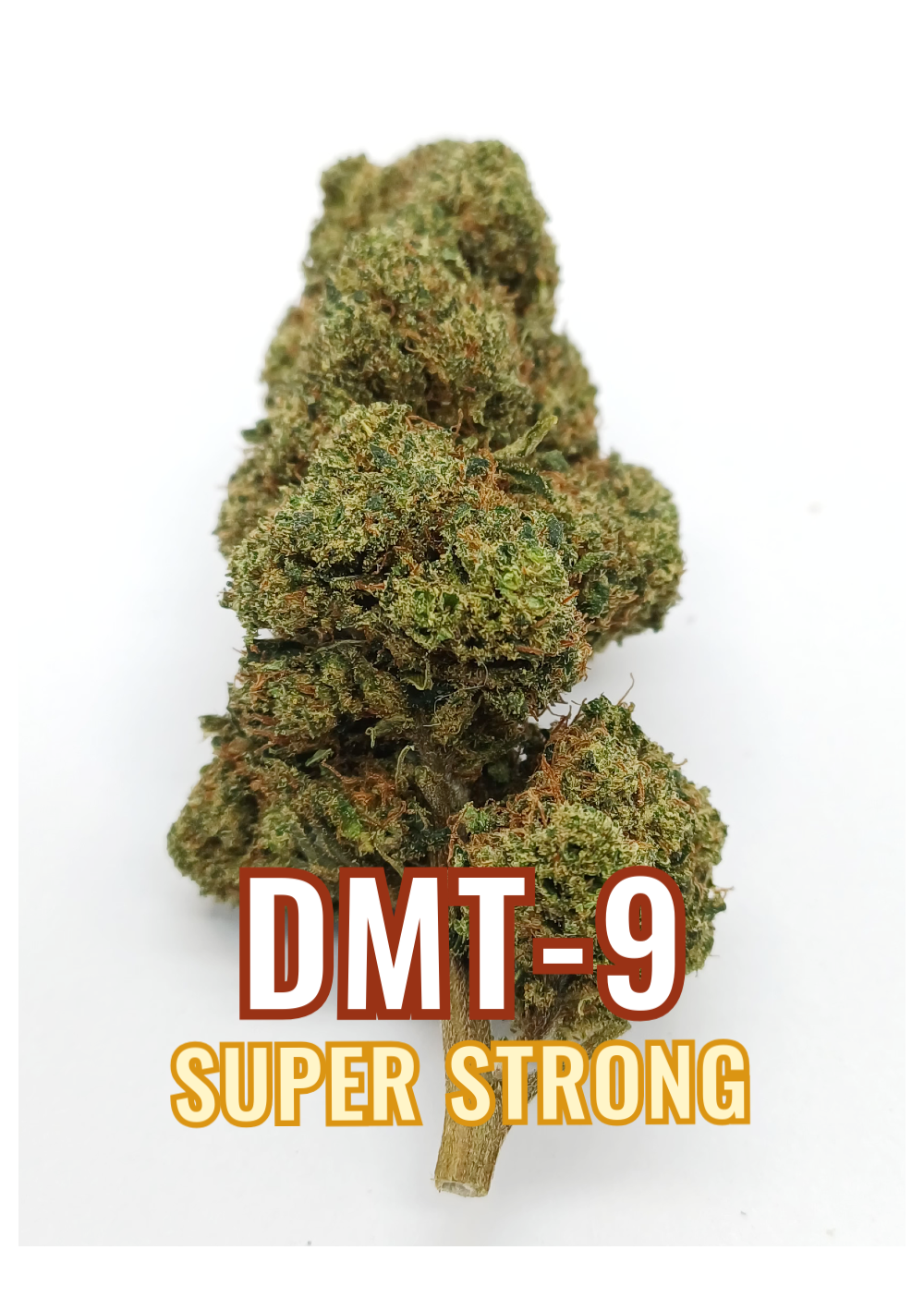 DMT-9 Forbidden Fruit - Super Forte, DMT9 Cannabis Indoor, Cime Compatte e Resinose
