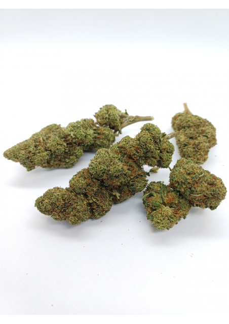 DMT-9 Forbidden Fruit - Super Forte, DMT9 Cannabis Indoor, Cime Compatte e Resinose