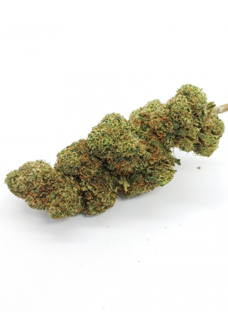 DMT-9 Forbidden Fruit - Super Forte, DMT9 Cannabis Indoor, Cime Compatte e Resinose