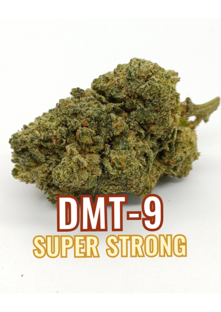 DMT-9 Gelato 48 - Extra Forte, DMT9 Indoor Cannabis Flowers