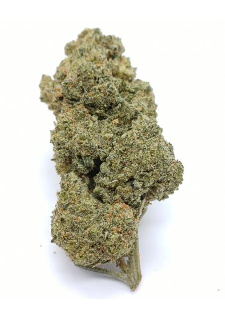 DMT-9 Lemon Kush - Super Blend, DMT9 Indoor Cannabis Light