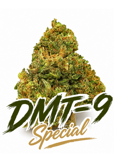 DMT-9 Gorilla Glue - Super Blend, DMT9 Indoor Cannabis Light