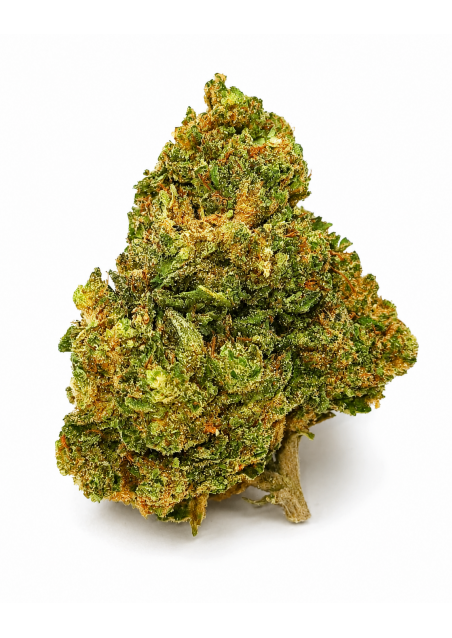 DMT-9 Gorilla Glue - Super Blend, DMT9 Indoor Cannabis Light