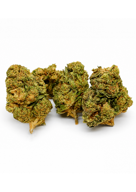 DMT-9 Gorilla Glue - Super Blend, DMT9 Indoor Cannabis Light