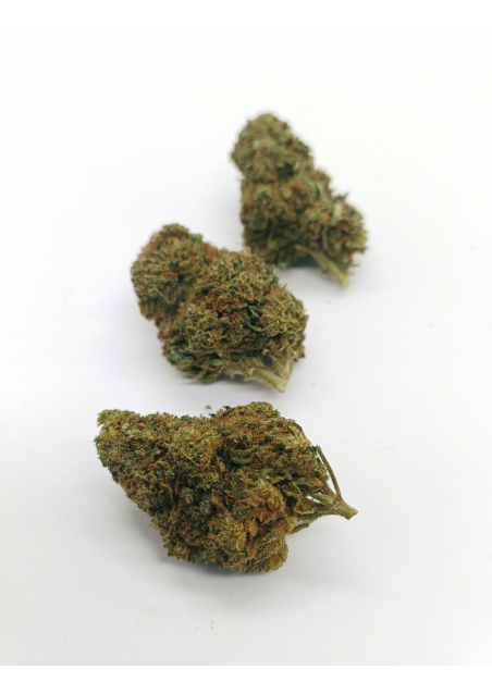 DMT-9 Queen Mary - Super Blend, DMT9 Indoor Cannabis Light