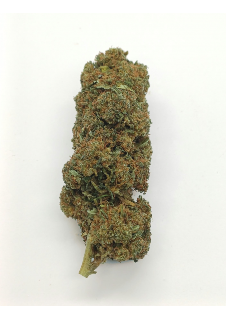DMT-9 Queen Mary - Super Blend, DMT9 Indoor Cannabis Light