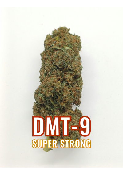 DMT-9 Queen Mary - Super Blend, DMT9 Indoor Cannabis Light