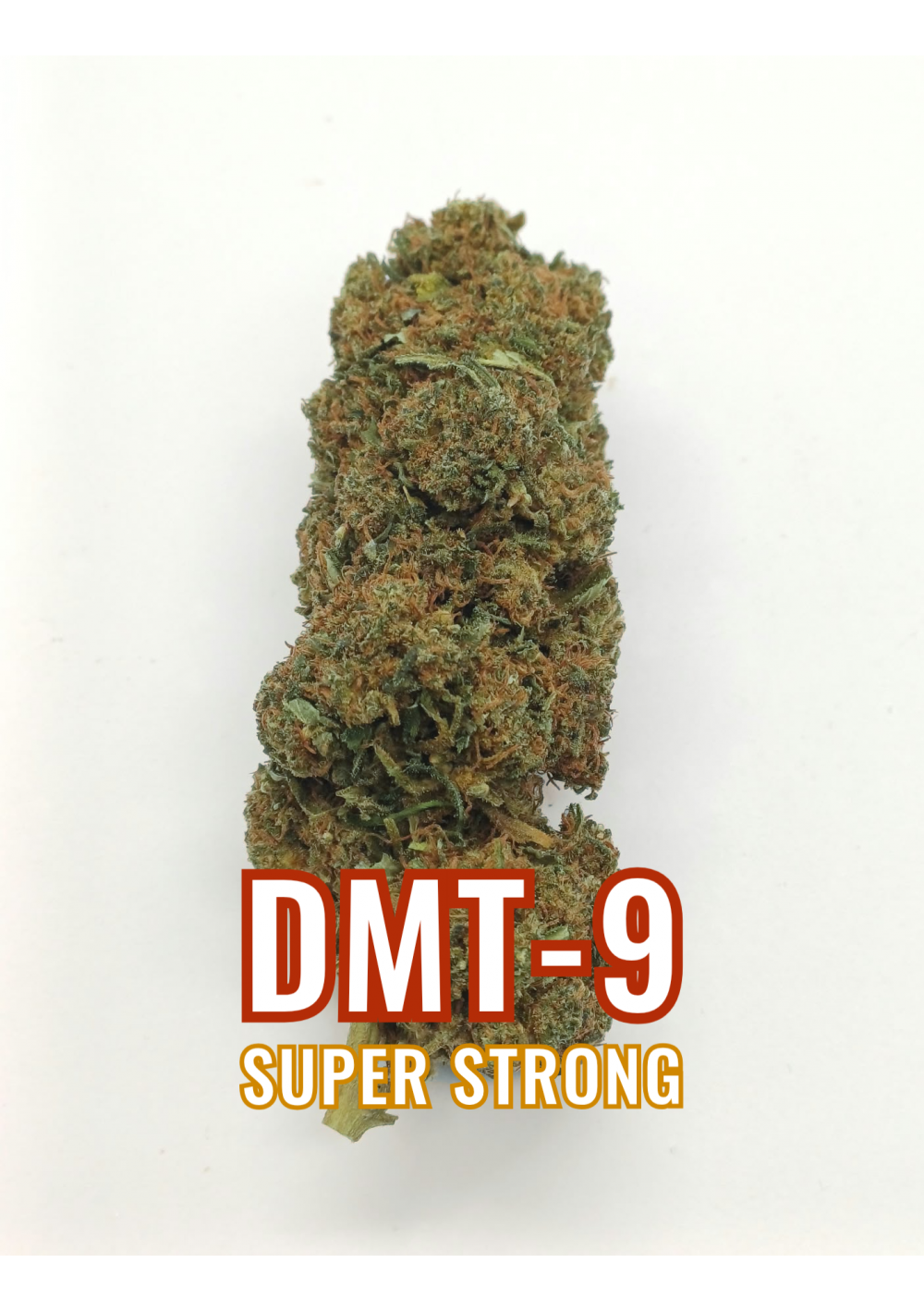 DMT-9 Queen Mary - Super Blend, DMT9 Indoor Cannabis Light