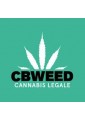 CBWEED s.r.l.